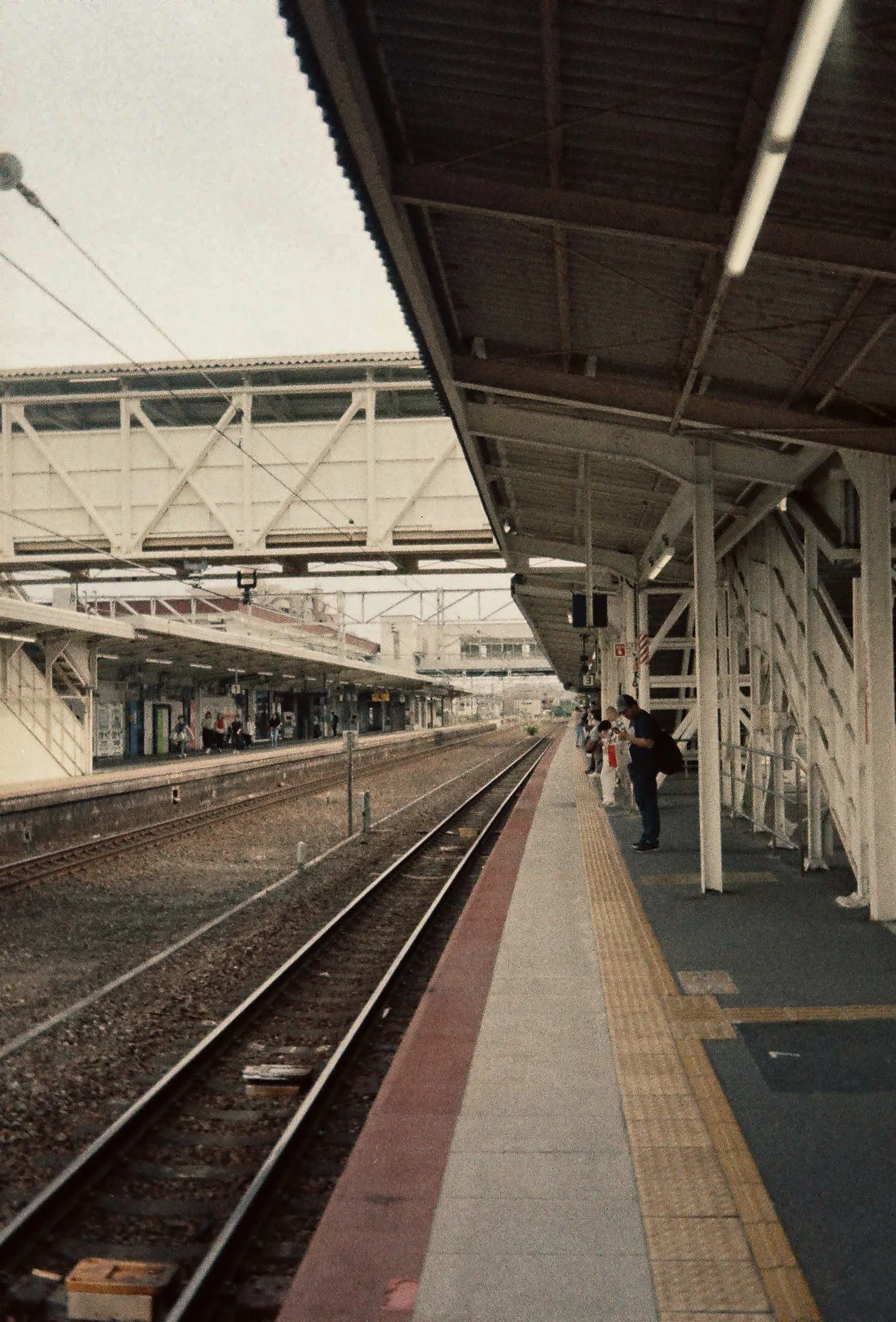 Japan on Film 2025 — photo 13